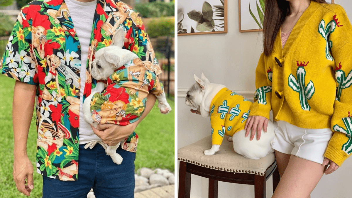 Two photos. Left of a man in a Hawaiian style shirt holding a small dog in a matching shirt. Right: Dog in a yelllow sweater with a cactus design posing with a woman in the same sweater. 