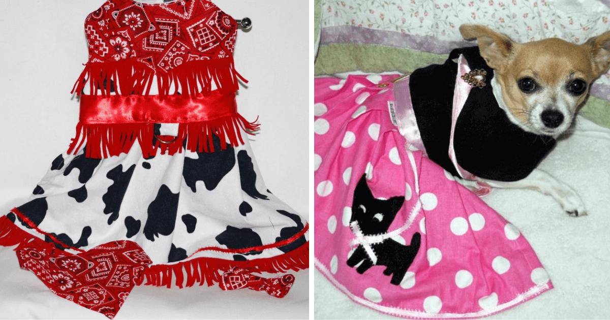 Let photo is of a black, white and red cowgirl costume for pets and the right is of a small dog in a 1950s inspired poodle skirt.